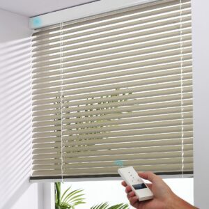 Motorized Window Shades
