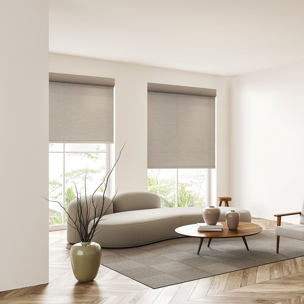 Blinds vs Shades