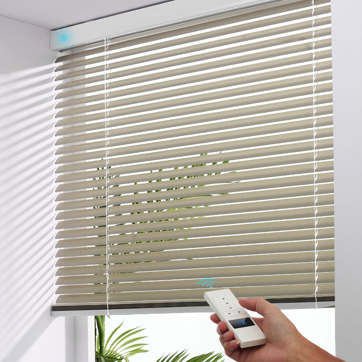 Motorized Window Shades